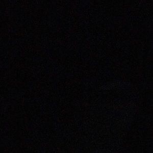 Meet your Posher, Zackary